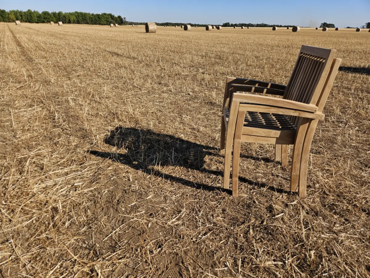 Teakholz Stapelstuhl Lori 