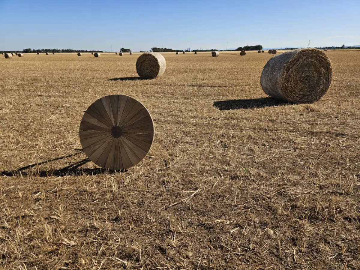 Runder Gartentisch Togo 